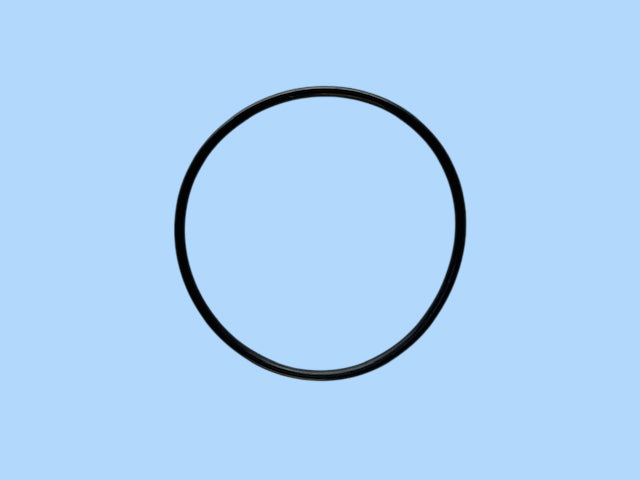 WSI-OR-3.9 -103 O-ring For Standard Filter Housing