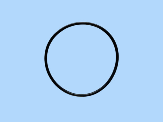 WSI-OR-3.9 -103  O-ring For Standard Filter Housing
